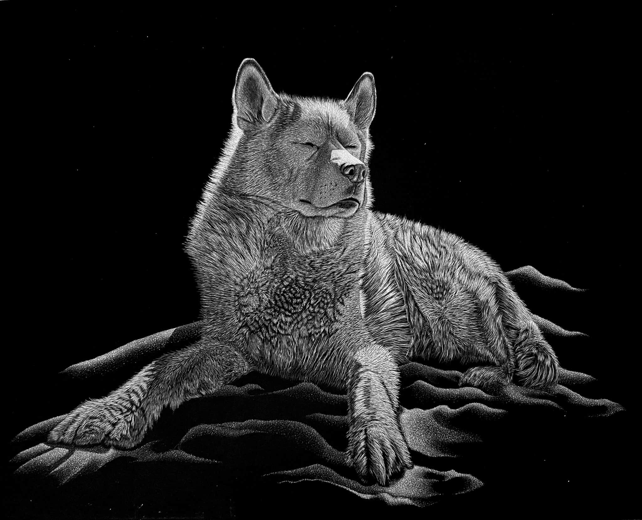 Scratchboard artwork by Nathan Kukla