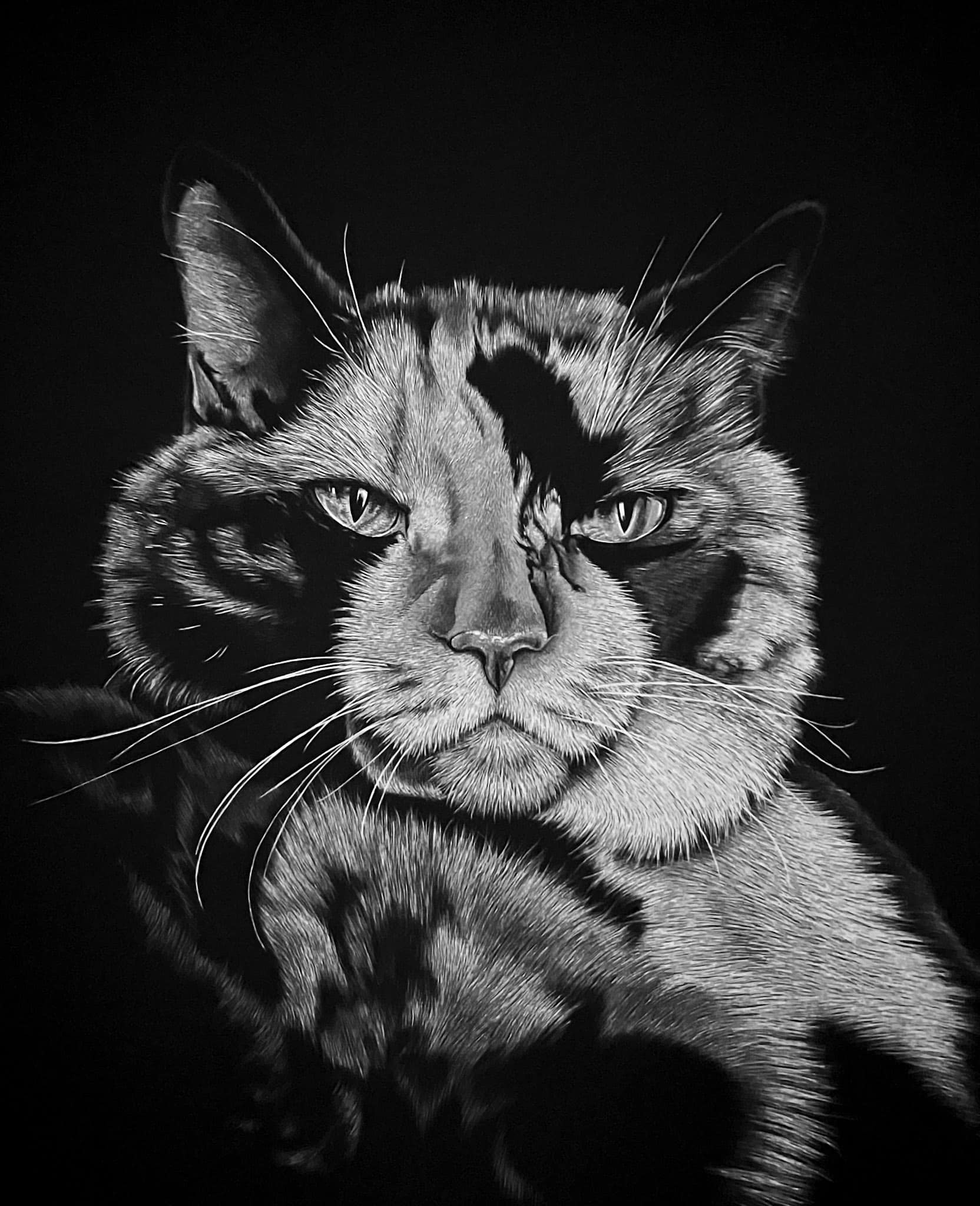 Scratchboard artwork by Nathan Kukla