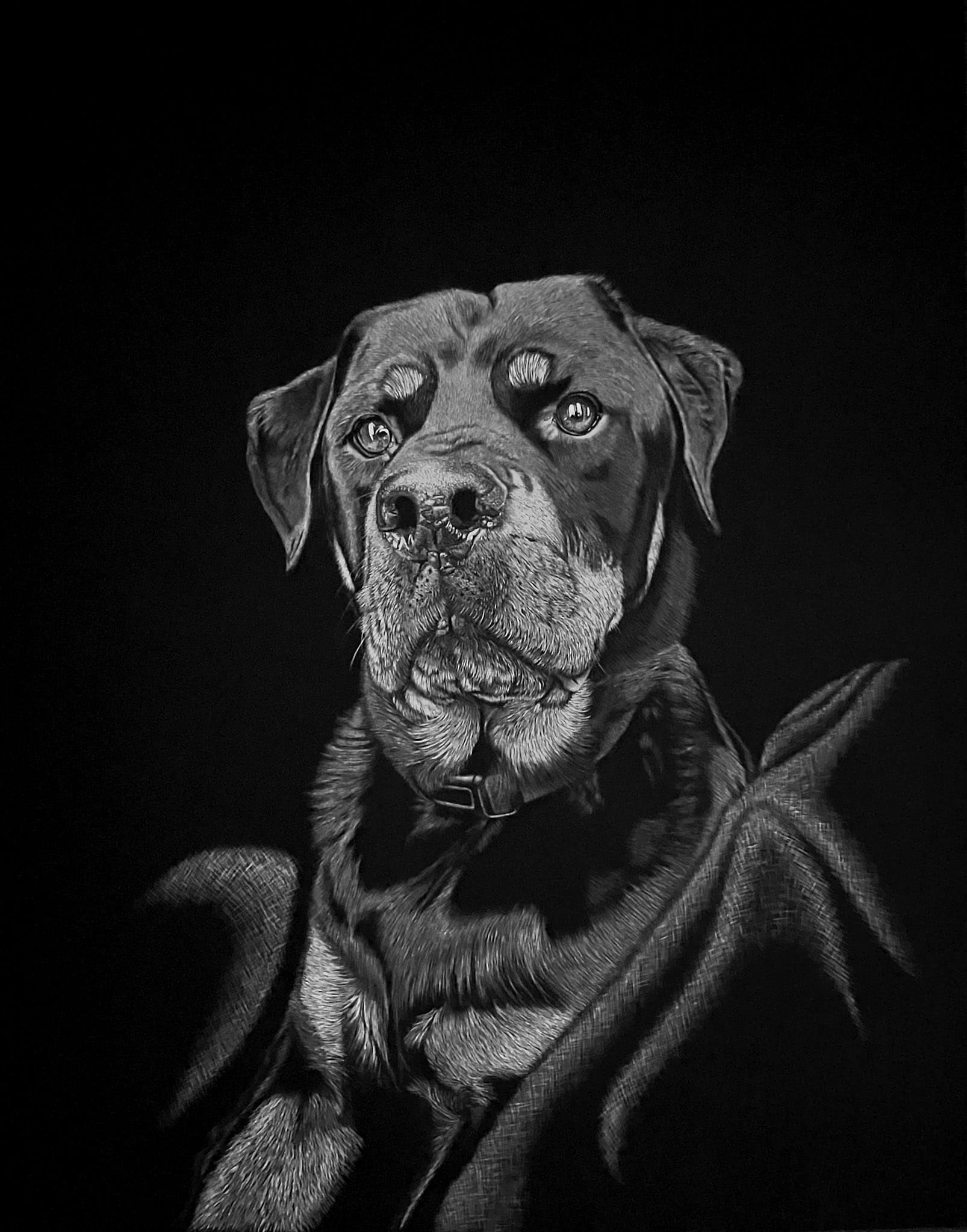Scratchboard artwork by Nathan Kukla