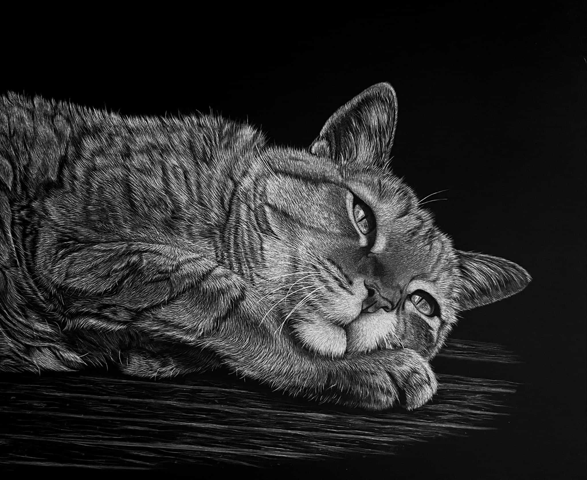 Scratchboard artwork by Nathan Kukla