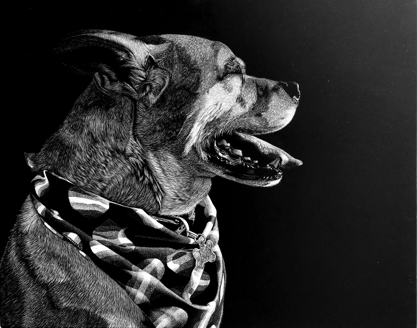 Scratchboard artwork by Nathan Kukla